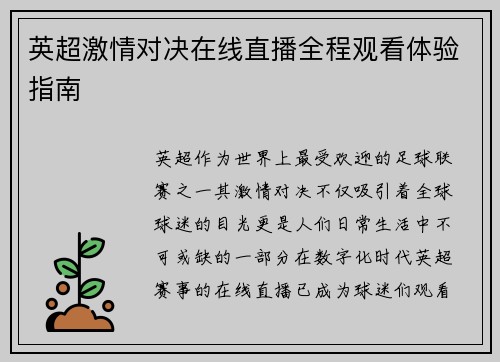 英超激情对决在线直播全程观看体验指南